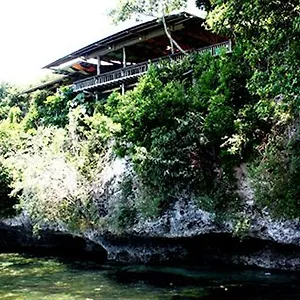 bohol-bee-farm.hotelspanglao.com/